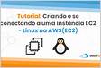 Avaliar opções para se conectar a uma instância Linux do EC2 AWS